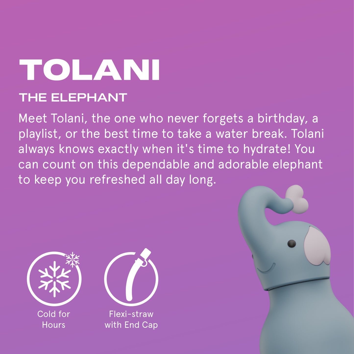 Bestie Animal Bottle - Elephant