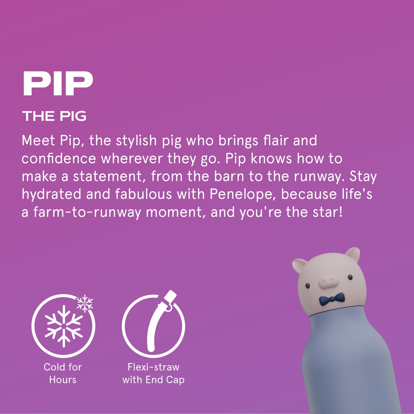 Bestie Animal Bottle - Piggy